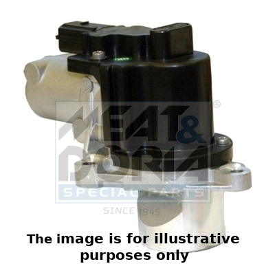 EGR Valve